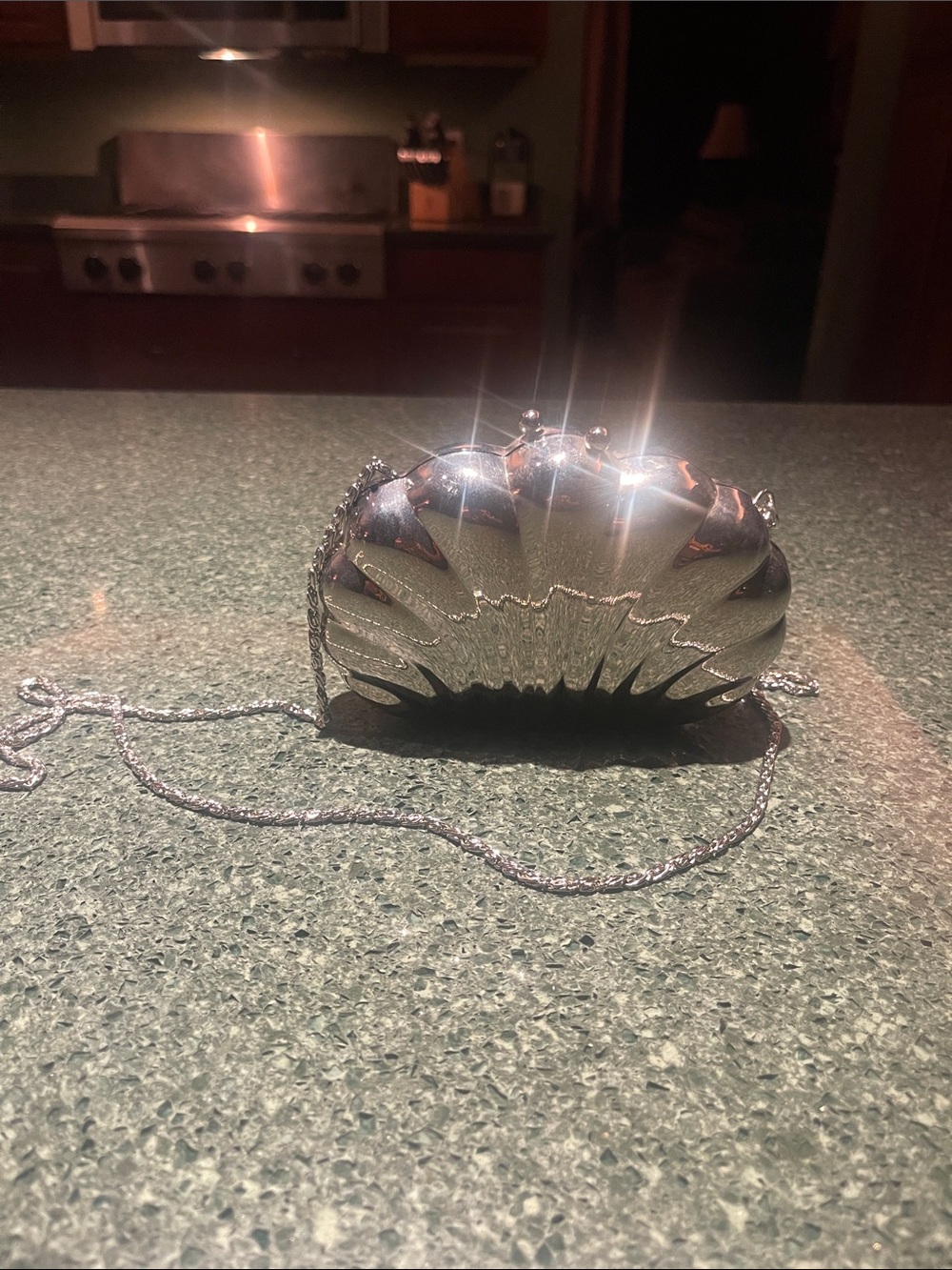 Silver Metallic Shell Clutch with Chain Strap